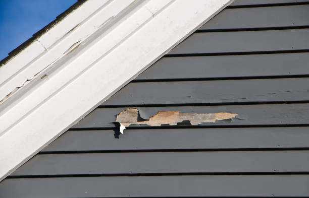 Best Siding Removal and Disposal  in Double Springs, AL